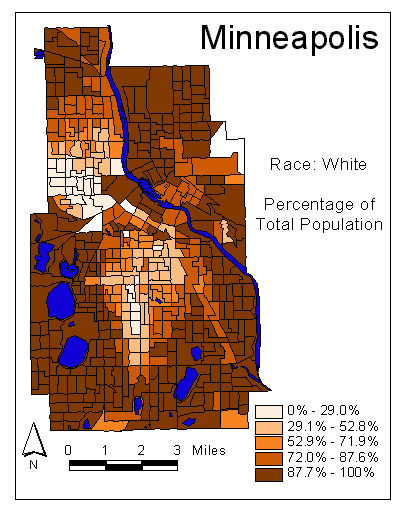 Race Map: White