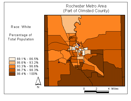 Race Map: White